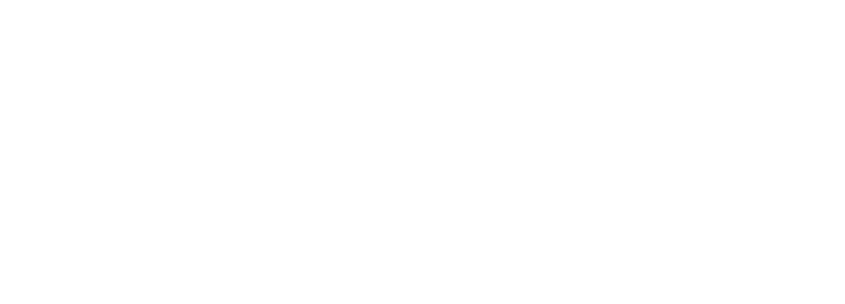 Vietnam Report